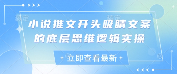 小说推文开头吸睛文案的底层思维逻辑实操-鼎誉项目网