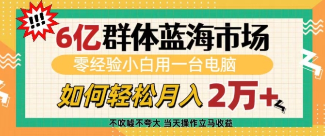 6亿群体蓝海市场，零经验小白用一台电脑，如何轻松月入过w【揭秘】-鼎誉项目网