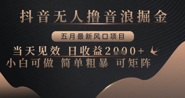 抖音无人撸音浪掘金，五月最新风口项目，当天见效，日收益多张，小白可做简单粗暴可矩阵【揭秘】-鼎誉项目网