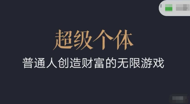 超级个体2024-2025翻盘指南，普通人创造财富的无限游戏-鼎誉项目网