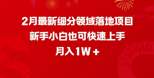 2月最新细分领域落地项目，新手小白也可快速上手，月入1W-鼎誉项目网