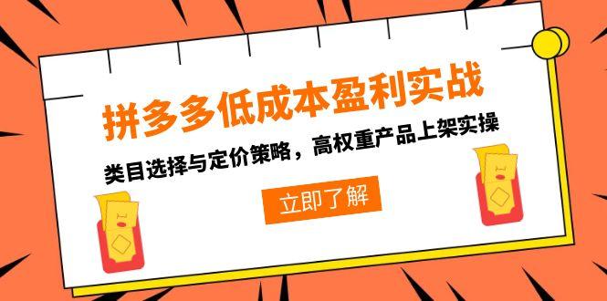 拼多多低成本盈利实战，类目选择与定价策略，高权重产品上架实操-鼎誉项目网