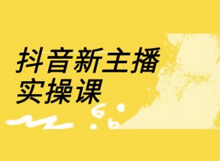 抖音新主播实操课，直播间流量运营线上实操课(18节)-鼎誉项目网