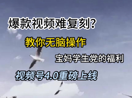 视频号4.0重磅上线，爆款视频难复刻？教你无脑操作宝妈学生党的福利【揭秘】-鼎誉项目网