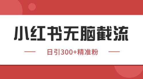 小红书只要你有同行就能获客，独家野路子获客玩法，暴力截流【揭秘】-鼎誉项目网