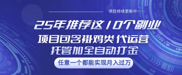 25年推荐这10个副业项目包含褂鸡类、代运营托管类、全自动打金类【揭秘】-鼎誉项目网