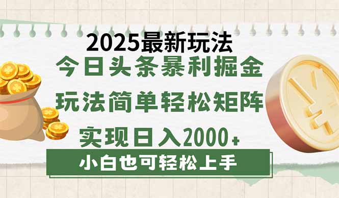今日头条2025最新玩法，思路简单，复制粘贴，轻松实现矩阵日入2000+-鼎誉项目网
