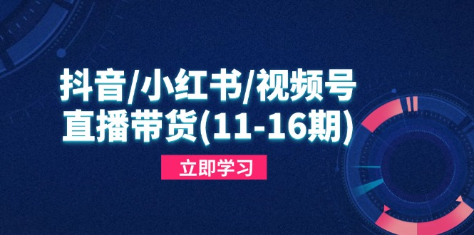 抖音/小红书/视频号/直播带货(11-16期-鼎誉项目网