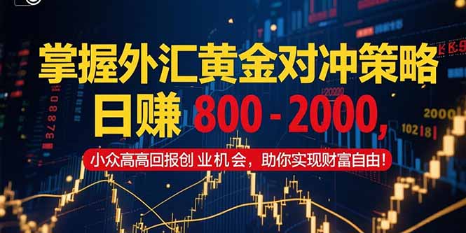 掌握外汇黄金对冲策略，日赚 800 – 2000，小众高回报创业机会，助你实…-鼎誉项目网