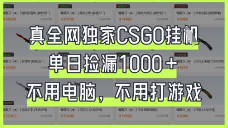 真全网独家CSGO挂G，单日捡漏1k+【揭秘】-鼎誉项目网