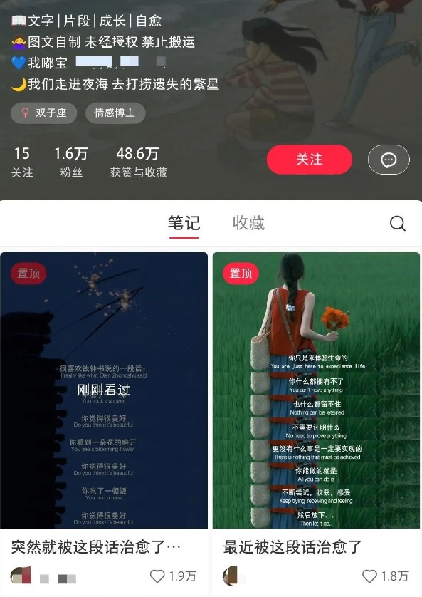 小红书治愈文案图文笔记,零门槛,一分钟制作轻松制作爆款作品月入万元-鼎誉项目网