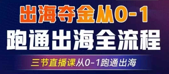 2025出海夺金从0-1跑通出海全流程，三节直播课从0-1跑通出海，教你用AI跑通全流程-鼎誉项目网