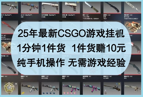 25年最新CSGO游戏挂G，1分钟1件货，1件货挣10元，纯手机操作，无需游戏经验【揭秘】-鼎誉项目网