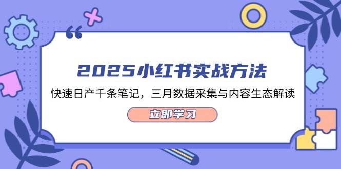 2025小红书实战方法，快速日产千条笔记，三月数据采集与内容生态解读-鼎誉项目网