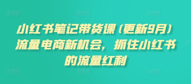 小红书笔记带货课(更新25年5月)流量电商新机会，抓住小红书的流量红利-鼎誉项目网