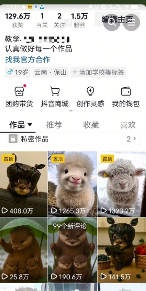 抖音65W博主AI萌宠课程，新赛道流量大，原创+二创，全套课程+提示词-鼎誉项目网
