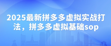 2025最新拼多多虚拟实战打法，拼多多虚拟基础sop-鼎誉项目网