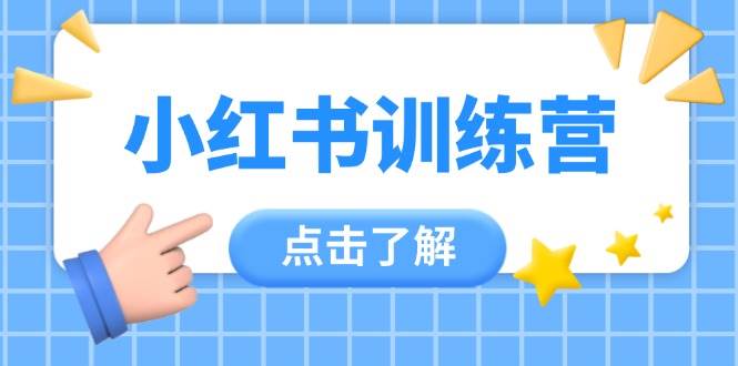 小红书训练营，助小白入门，掌握技巧变达人，课程实操又全面(12节课)-鼎誉项目网