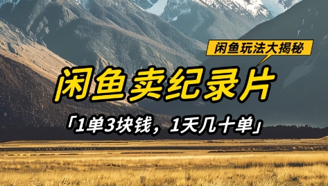 闲鱼卖纪录片1单3块钱，1天几十单，项目稳定有潜力-鼎誉项目网