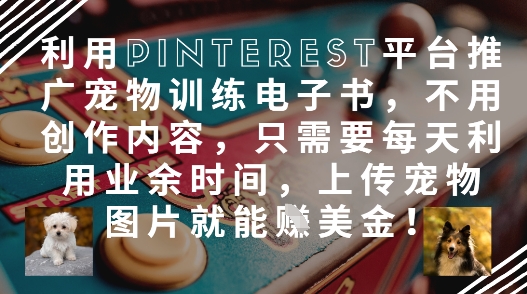 利用Pinterest平台推广宠物训练电子书，不用创作内容，只需要每天利用业余时间，上传宠物图片就能挣美金!-鼎誉项目网