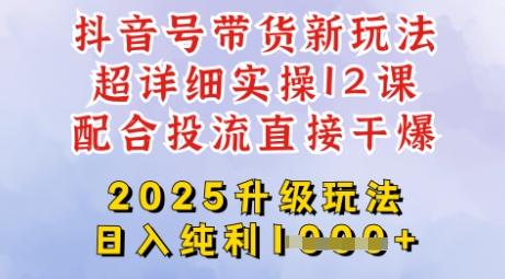 2025全新升级抖音带货玩法，一天纯利四位数，从剪辑到选品再到发布投流，超详细玩法揭秘-鼎誉项目网