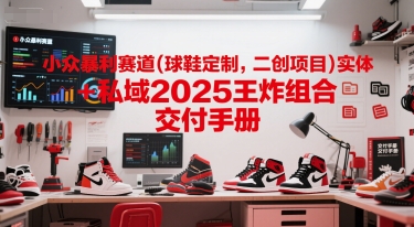 小众暴利赛道(球鞋定制，二创项目)实体+私域2025王炸组合  交付手册-鼎誉项目网