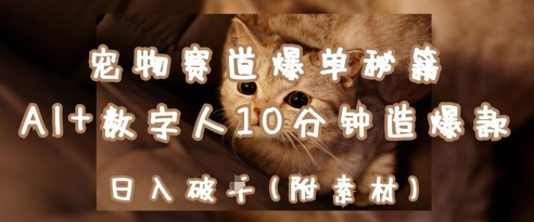宠物赛道爆单秘籍：AI+数字人10分钟造爆款，日入1k-鼎誉项目网