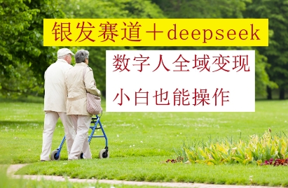 银发赛道+deepseek数字人全域变现，小白也能操作-鼎誉项目网