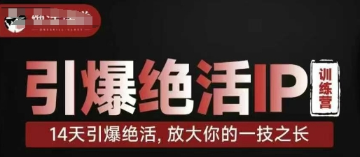 引爆绝活IP训练营，14天引爆绝活，放大你的一技之长-鼎誉项目网