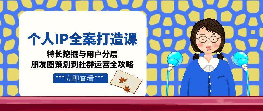 个人IP全案打造课，特长挖掘与用户分层，朋友圈策划到社群运营全攻略-鼎誉项目网