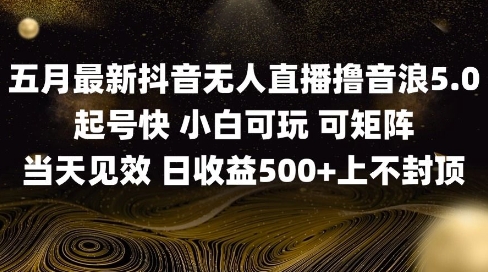 2025五月最新无人直播撸音浪单日产出5张+实操教程【揭秘】-鼎誉项目网