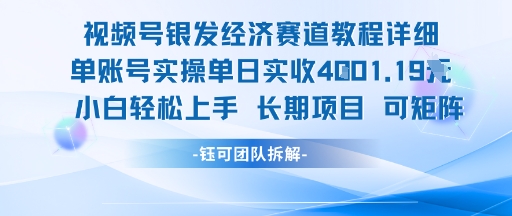 视频号银发经济赛道单账号实操单日实收1k+，小白轻松上手长期项目-鼎誉项目网