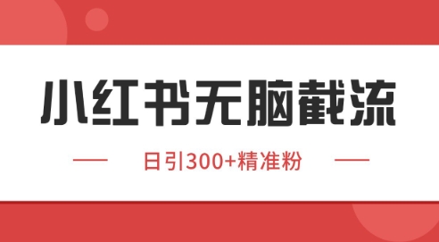 小红书截流同行客源,独家野路子获客玩法 日引200+暴力获客【揭秘】