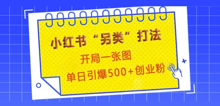 小红书“另类”打法，开局一张图，单日引爆500+精准创业粉【揭秘】-鼎誉项目网