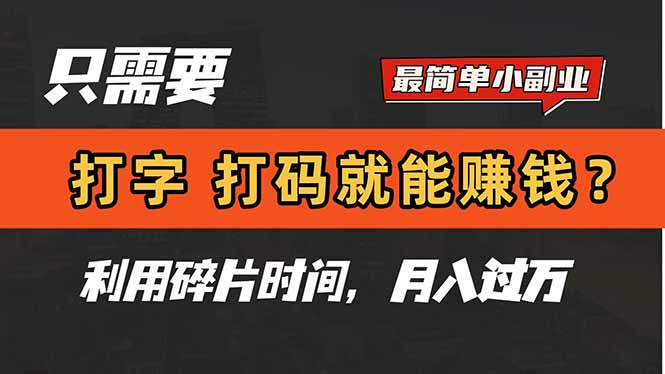 只需要打字，打码，就能赚钱？简单的赚钱小副业，利用碎片时间，月入过万-鼎誉项目网