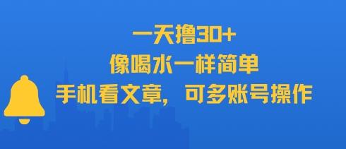 一天撸30+，像喝水一样简单，手机看文章，可多账号操作-鼎誉项目网