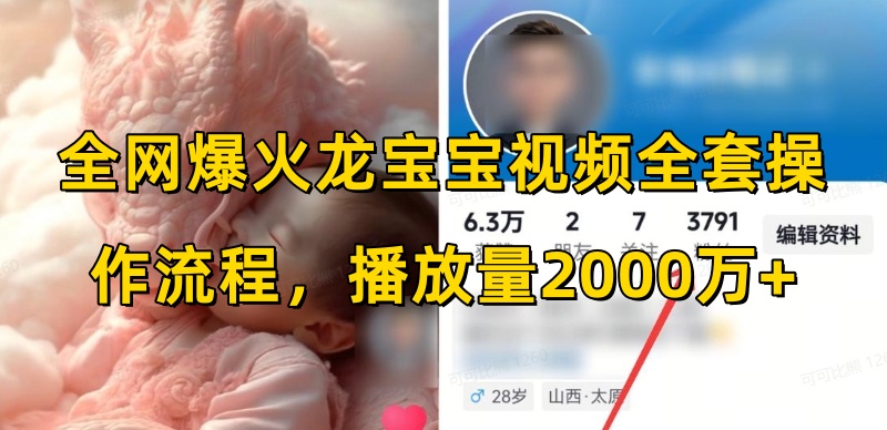 全网爆火龙宝宝视频全套操作流程，播放量2000万+-鼎誉项目网