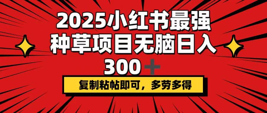 2025小红书最强种草项目，无脑日入300+，复制粘帖即可，多劳多得-鼎誉项目网