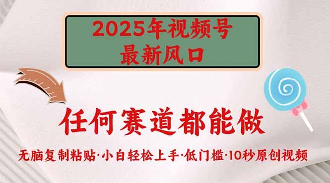 2025年视频号新风口，低门槛只需要无脑执行-鼎誉项目网