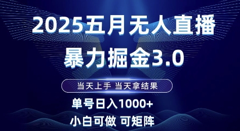 2025五月无人直播暴力掘金3.0，当天上手，当天拿结果，单号日入1k+小白可做可矩阵【揭秘】-鼎誉项目网