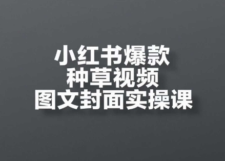 小红书爆款种草视频图文封面实操课，​开店、选品、引流、变现全流程-鼎誉项目网