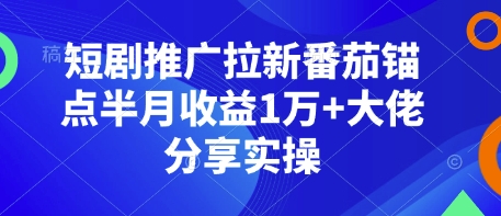 短剧推广拉新番茄锚点半月收益1万+大佬分享实操-鼎誉项目网