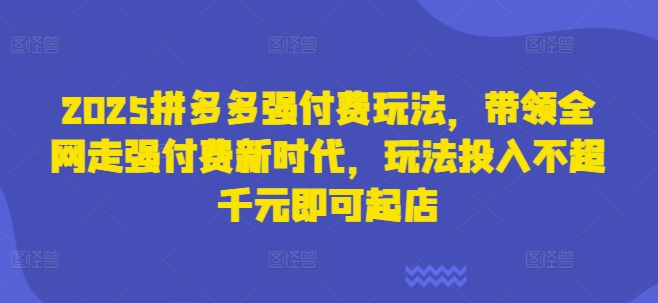 2025拼多多强付费玩法，带领全网走强付费新时代，玩法投入不超千元即可起店-鼎誉项目网