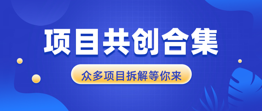 项目共创合集，从0-1全过程拆解，让你迅速找到适合自已的项目-鼎誉项目网