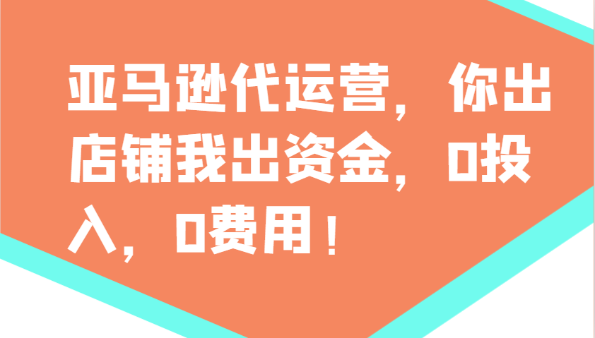 亚马逊代运营，你出店铺我出资金，0投入，0费用，无责任每天300分红，赢亏我承担-鼎誉项目网