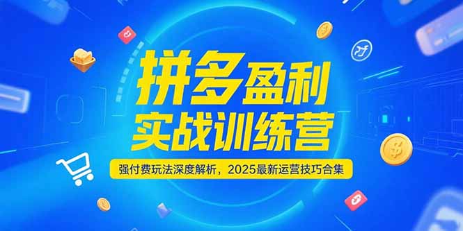 拼多多盈利实战训练营，强付费玩法深度解析，2025运营技巧合集-更新6月-鼎誉项目网