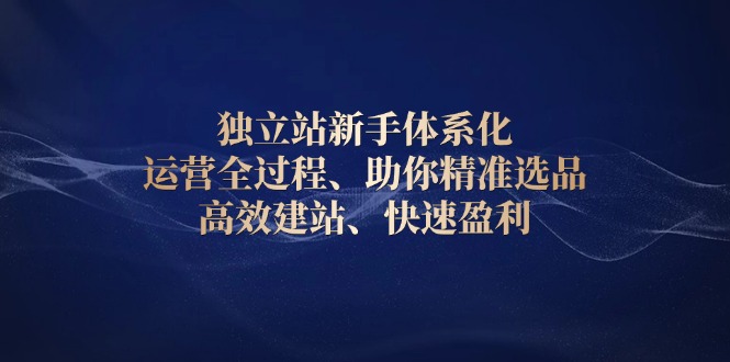 独立站新手体系化 运营全过程，助你精准选品、高效建站、快速盈利-鼎誉项目网