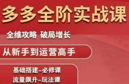 拼多多全阶实战课程，全维攻略，破局增长，从新手到运营高手-鼎誉项目网