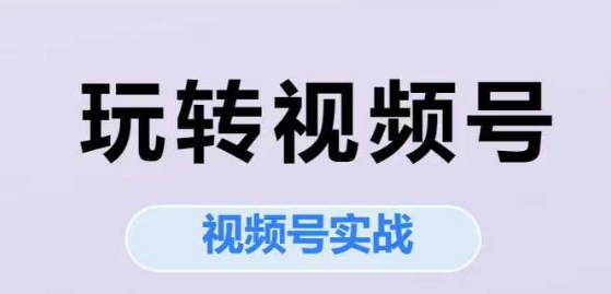 玩转视频号，视频号实战系列课-鼎誉项目网