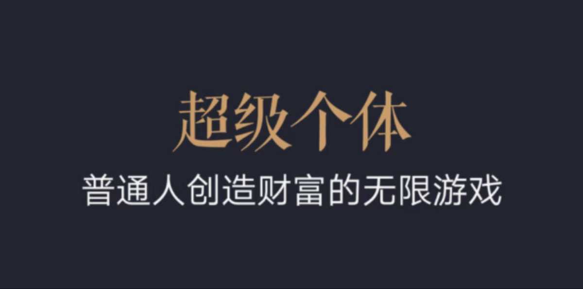 超级个体：2024-2025翻盘指南，普通人创造财富的无限游戏-鼎誉项目网